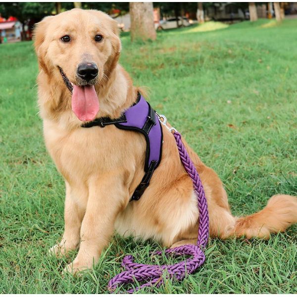 Waterproof Heavy Duty Retractable Dog Lead For Big Dogs Nylon