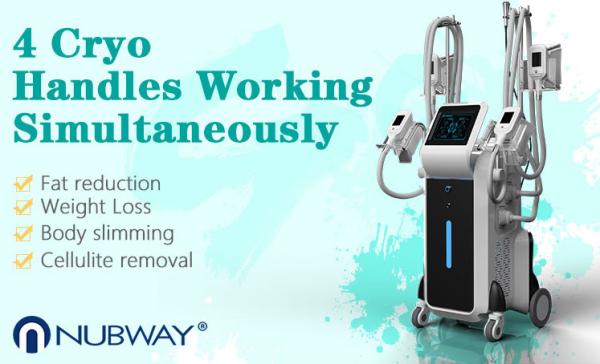Cryolipolysis body slimming machine with 4 cryo handles / 4 cryo handles can work simultaneously