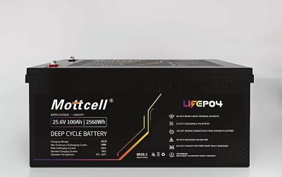 24V Deep Cycle Lithium Battery 25.6V 100ah Solar Lithium Iron Phosphate Battery