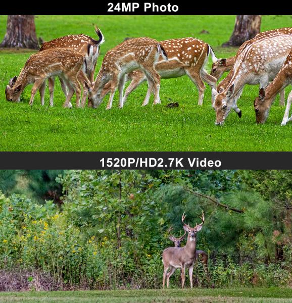 CMOS Sensor 40pcs IR LEDs Night Vision Trail Hunting Camera