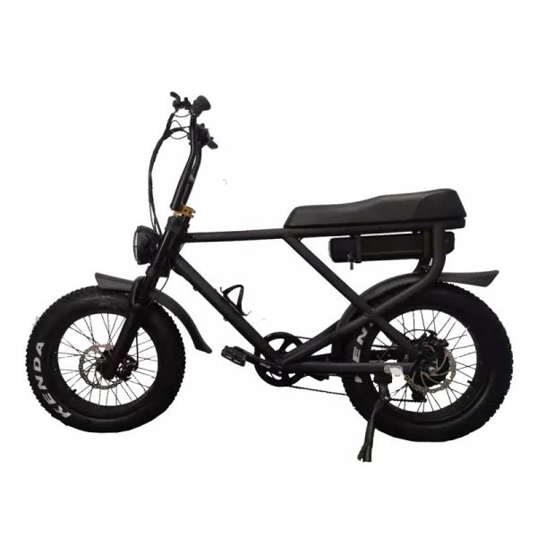 Fat Tyre Electric Bike Snow Beach Fast Speed Customized Electric Bicycle 2 Seats E Bike