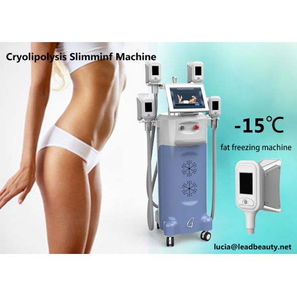 4 handles Coolshape Cryolipolysis Freeze Fat slimming machine price/Lipo Cryo machine with Cavitation and RF Handles