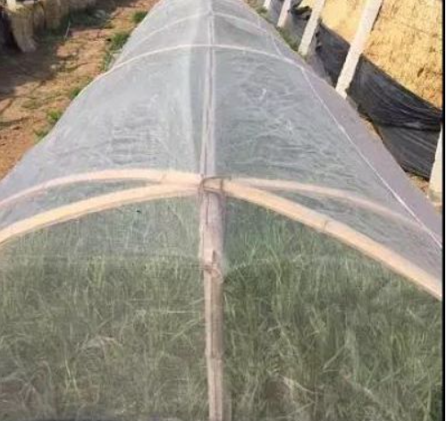 40 Mesh Garden Netting Fine Mesh Garden Netting White Color