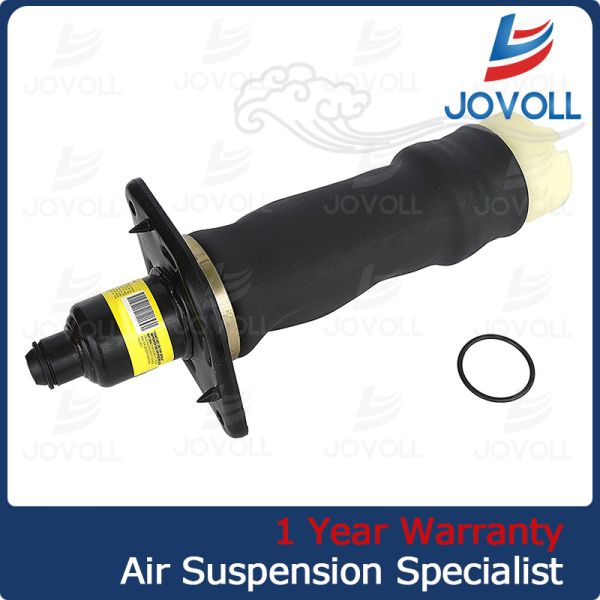 Подвес воздуха Ауди весны воздуха Ауди А6 К5 задний левый разделяет 4З7616051А