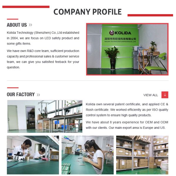 Pet Usb Rechargeable Led Collar For Dog , Custom Glow In The Dark Dog Collar