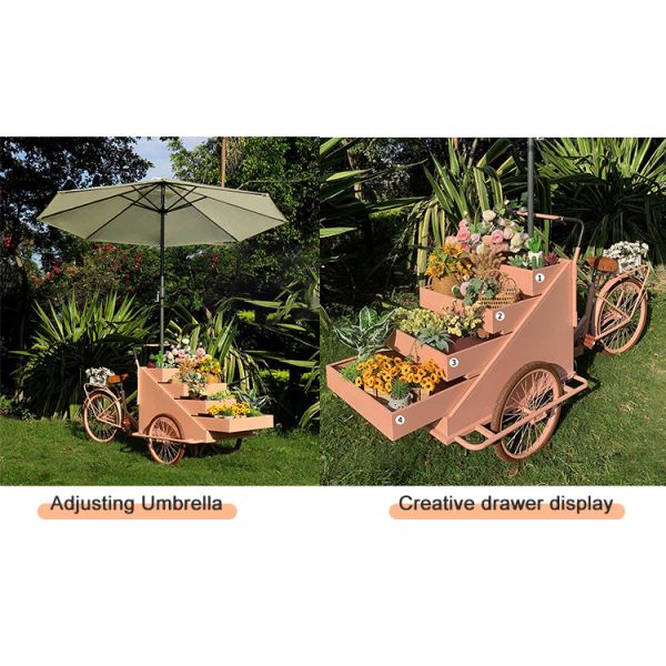 Leisure Fast Food Equipment Food Bike Vending Truck with Customization Acceptable 80kg