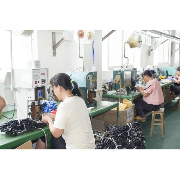 ECOBRIDGE COMPANY LIMITED