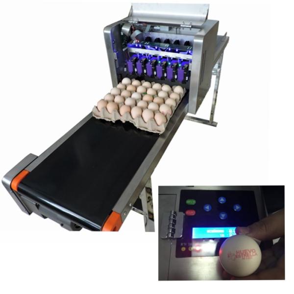 Environmental Protection Egg Date Lot Batch Code Printer With USB Storage