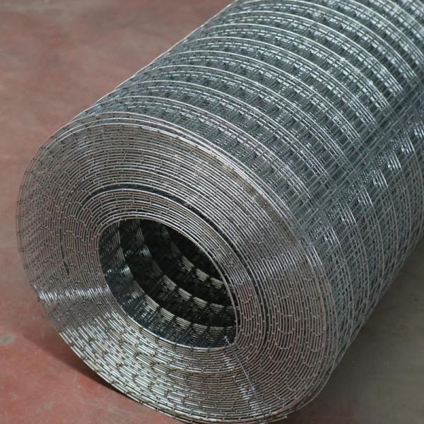 0.5m-2.4m Width Galvanized Welded Wire Mesh For Protecting Welded Wire Fencing Rolls