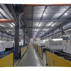 Guangdong Xin Tongshi Group Co., Ltd.