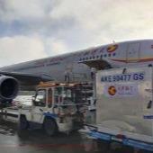Shanghai China To United States Transportation Ddp Door To Door Cargo Delivery Services