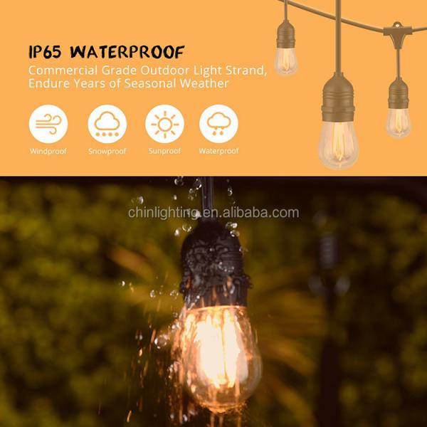 Hot sale Chinlighting ST45 S14  Festoon LED String Light for outdoor decoration