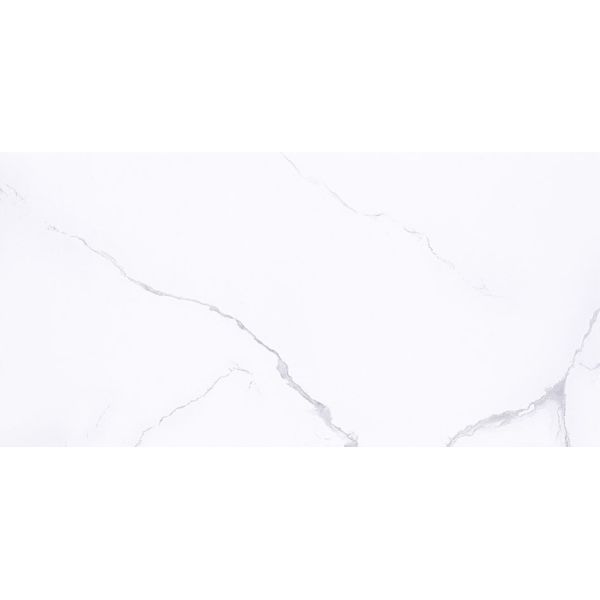 Струйные принтеры застеклили 0,11 Bathroom 30x60cm современных жилого дома W.A керамических