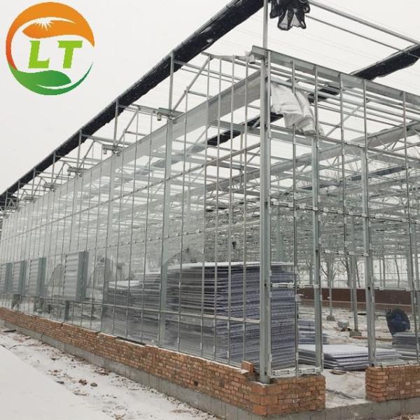 Estufas agrícolas multiespan com aço galvanizado a quente e sistema inteligente