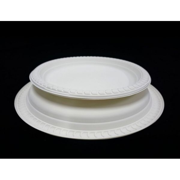 Audit ISO 9001 Certified Disposable Plates and Cutlery for Sustainable Celebrations