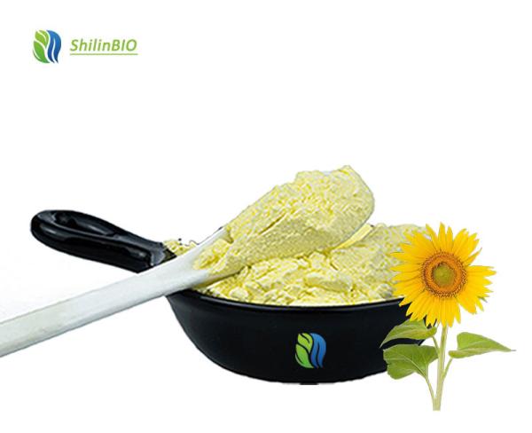 Sunflower Seed extract 98% Sunflower Lecithin Powder
