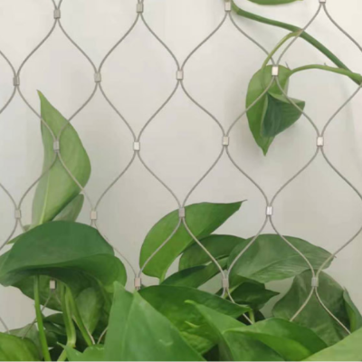 304/316 Stainless Steel Wire Rope Net Garden Vine Climbing Diamond Rope Net