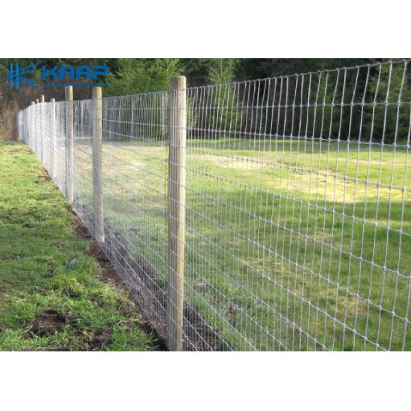 Скотины ограждают сплетенный узел суставного сочленения экрана металла горячий окунутый гальванизированный