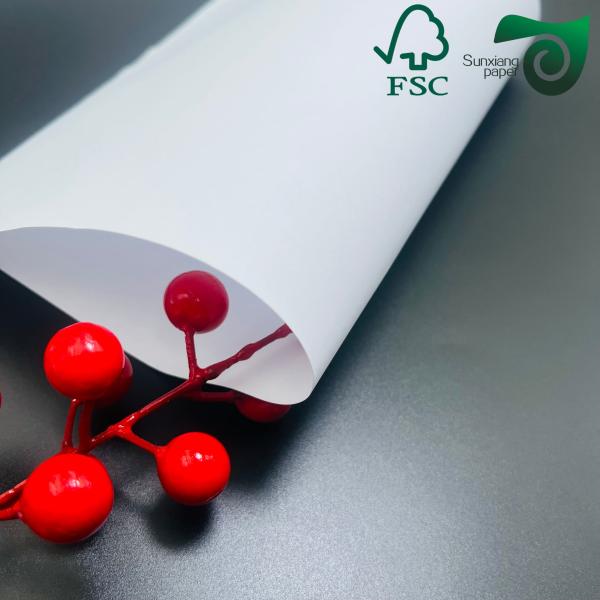 Papier sans bois non recouvert absorbant l'encre pour l'imprimerie