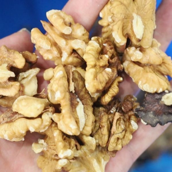 This Industrial Walnut Kernel Sorting Platform 8 lane + 12 outlets processes 720kgs of kernel per hour With Extended Long Service Life