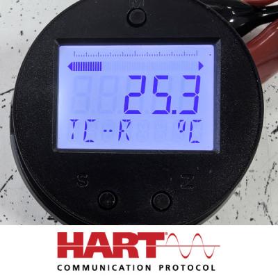 Field Mounted Temperature Transmitter LCD display Galvanic isolation