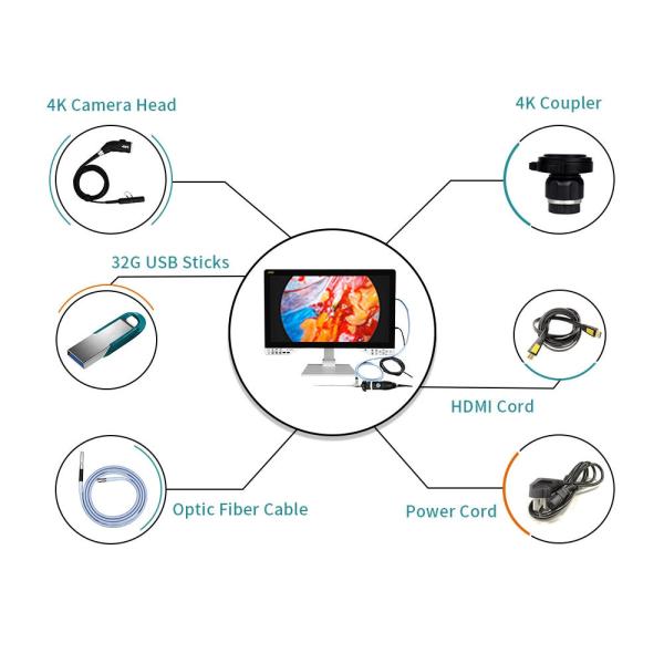 Cámara de endoscopia médica eléctrica de monitor 4K con fuente de luz incorporada y grabación USB