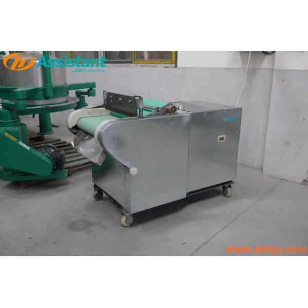 220V/50Hz Voltage Fresh Green Tea Leaf Cutting Machine DL-6GCQ-50 with 250 kg/h Efficiency