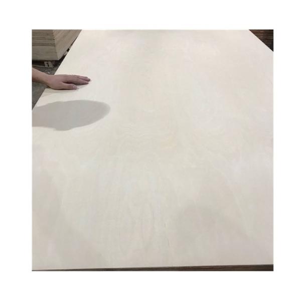 Melamine Indoor Furniture 4x8 3mm 18mm Exterior Grade Plywood