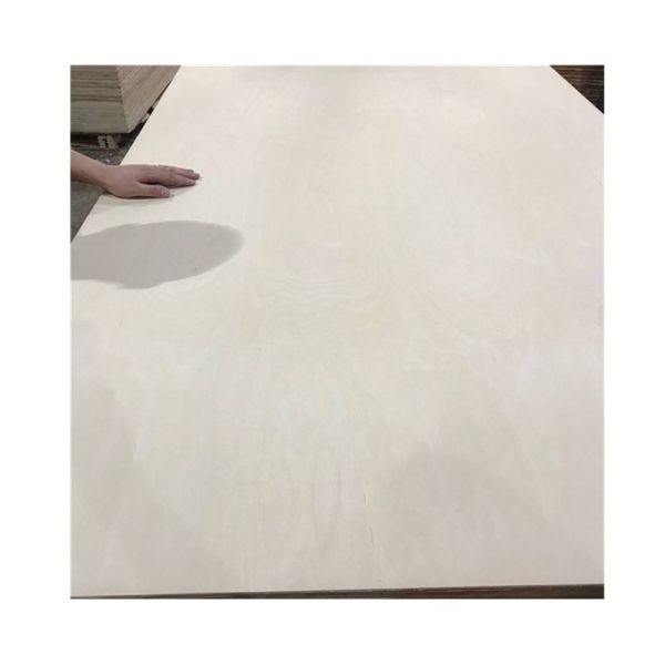 4x8 Ft 12mm 18mm Phenolic Glue Birch Faced Plywood