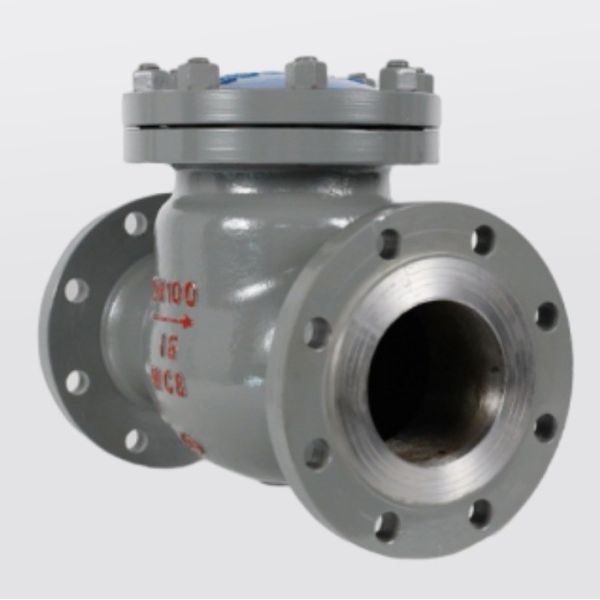 Customized Color Rubber Flap Check Valve with Flange Non-Return Valve H44H-16/25C