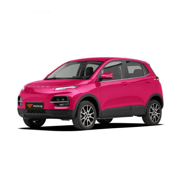 DAYUN M1 Energy Vehicles Electric Car Adult Car Luxury 2023 Yuehu ES3 300km Long Range EV