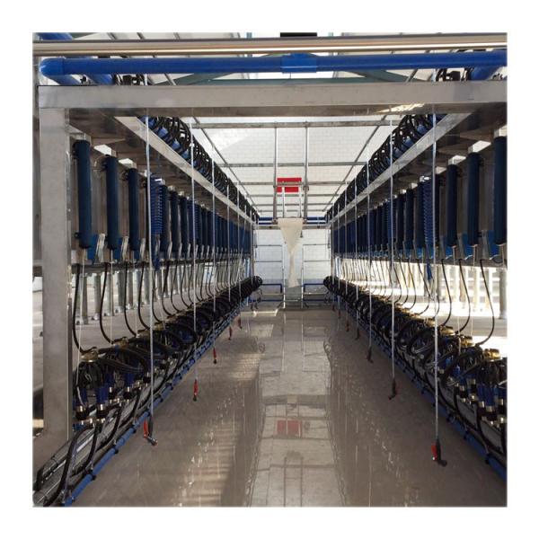 Digital Vacuum 50Kpa Herringbone Milking Parlor For Dairy Farm
