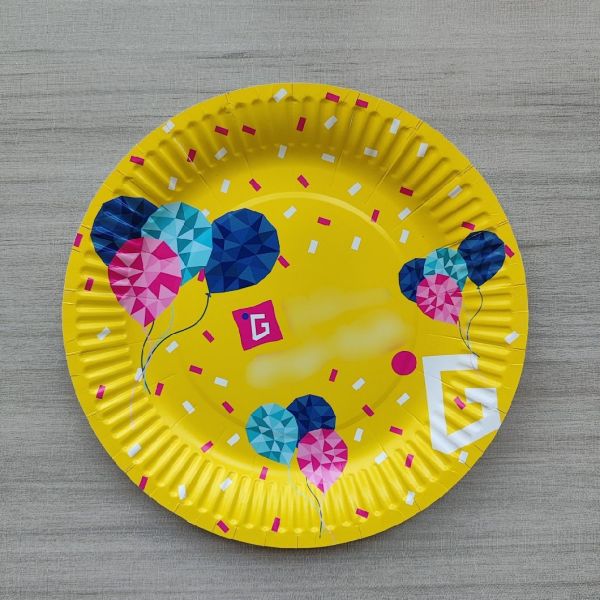 Eco-friendly Disposable Tableware for Birthday Party Food and Cake Plate Lunch Plate
