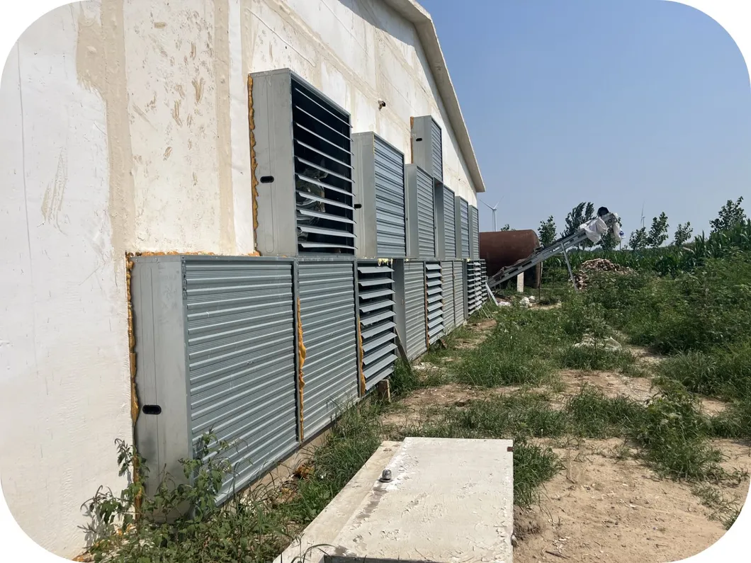 Galvanized Poultry Farm Equipment H Type Battery Cage For Broiler And Layer Chickens