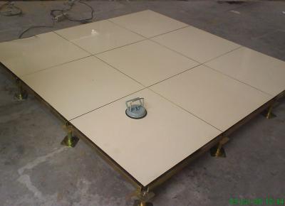 610 x 610 x 45mm Anti-pollution Anti-static Raised Computer Floors FS1250 FS1500