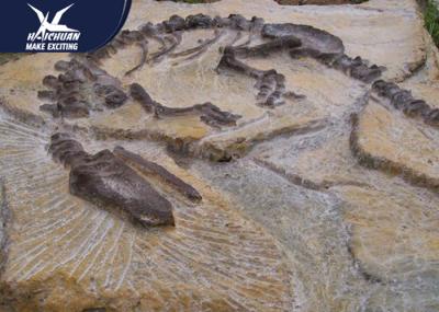 Big Indoor Decorative Fake Dinosaur Fossil Waterproof And Sunproof 1 Year Warranty