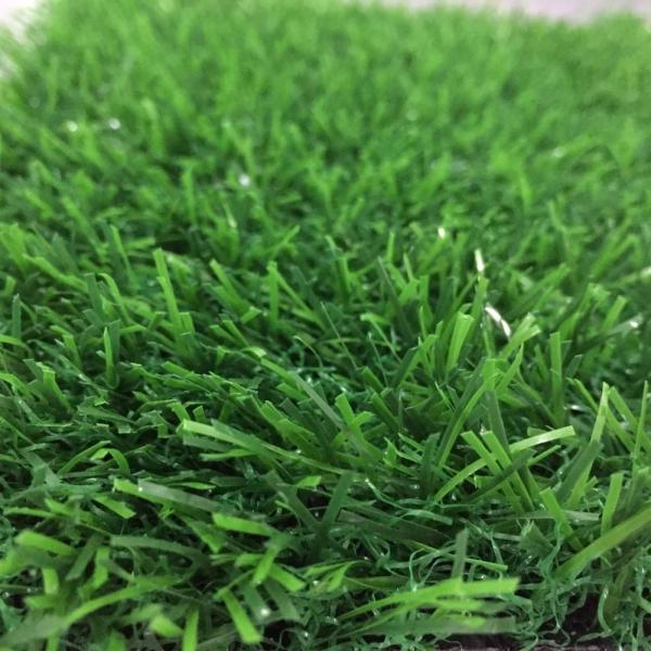 Landscape Artificial Plastic Grass / Artificial Grass Roll Commercial Decoration