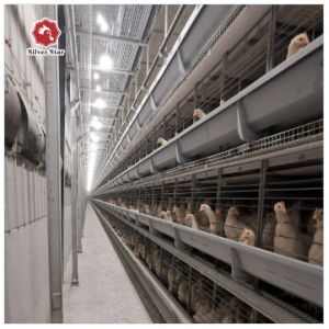 Q235 Hot Galvanized Automatic A Type H Type Poultry Farming Chicken Cage For Layer Equipment