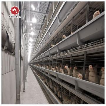 Galvanizado quente melhor vender sistema automático gaiola de frango de frango tipo H bateria gaiola de frango de frango de frango