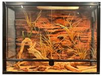 美しさと安全な爬虫類の囲み 背景 コンパクト DIY 爬虫類の囲み 背景