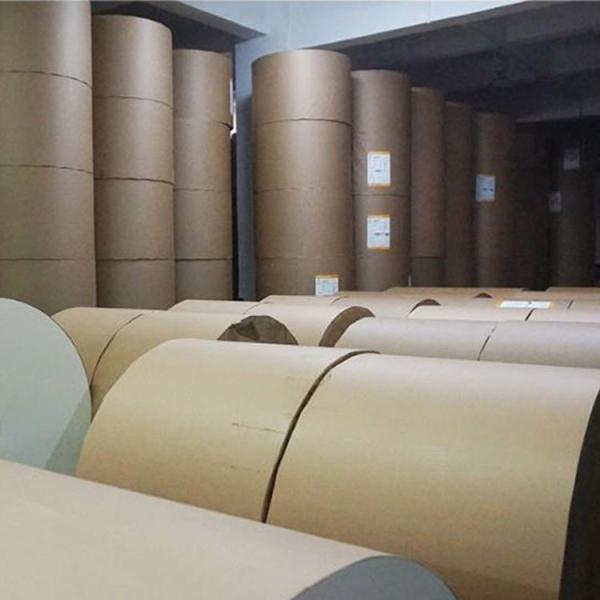 170g 190g Paper Cup Making Raw Material Pe Coated Paper Cup Roll