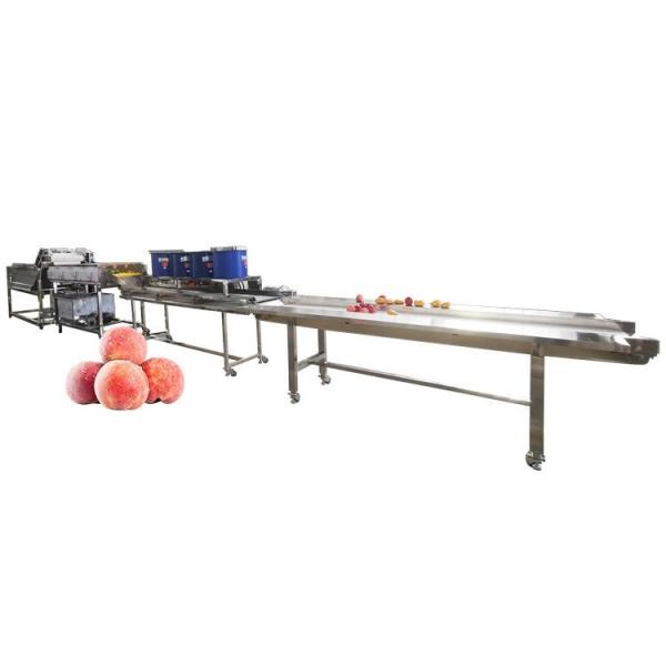 Hot selling High Quality Wholesale Custom Cheap Fruit Sink Washer by Huafood