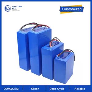 OEM ODM LiFePO4 bateria de lítio NMC NCM Bateria personalizada de scooter el