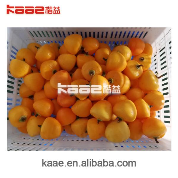 Dried Persimmon Processing Line For Removing Stem