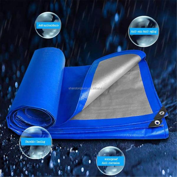 Blue-Silver Light Weight PE Tarpaulin with Eyelets Density 6*6-16*16 in Vietnam Market