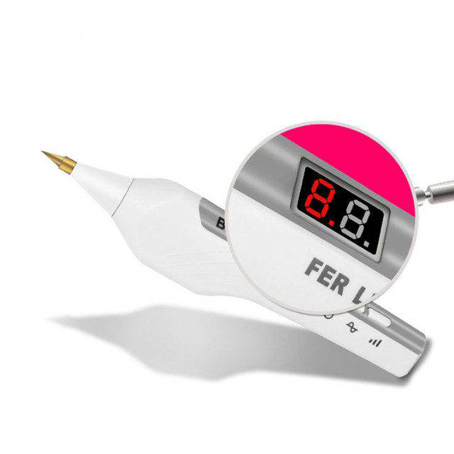 110V-240V Rated Voltage Tattoo Removal Rechargeable Mini Mole Laser Pen for Beauty Care