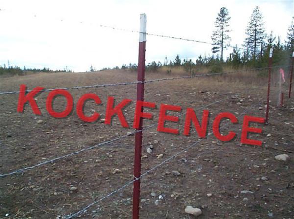 Customized Steel Star Picket , Hot Dipped Galvanized Y Fence Post