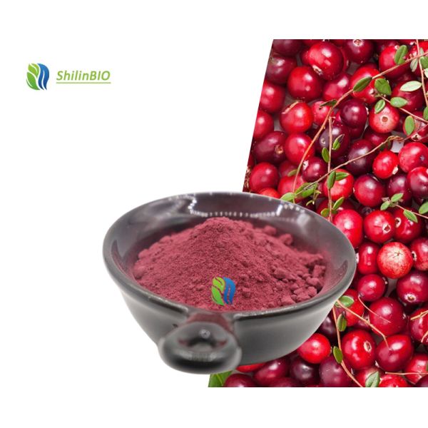 Food Grade Cranberry Extract Powder Cranberry Dried Fruit Cranberry Fruit Powder