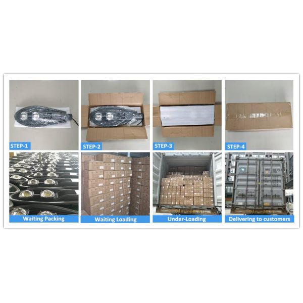 ROHS 50 ODM уличного света черный расквартировывая 19.6in СИД ватта для тропы