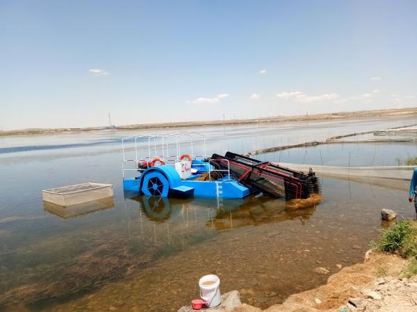 Blue 7CBM River Water Cleaning Machine Cutter Pond Weed Harvester Mowing